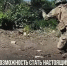 13 - Асиновский район